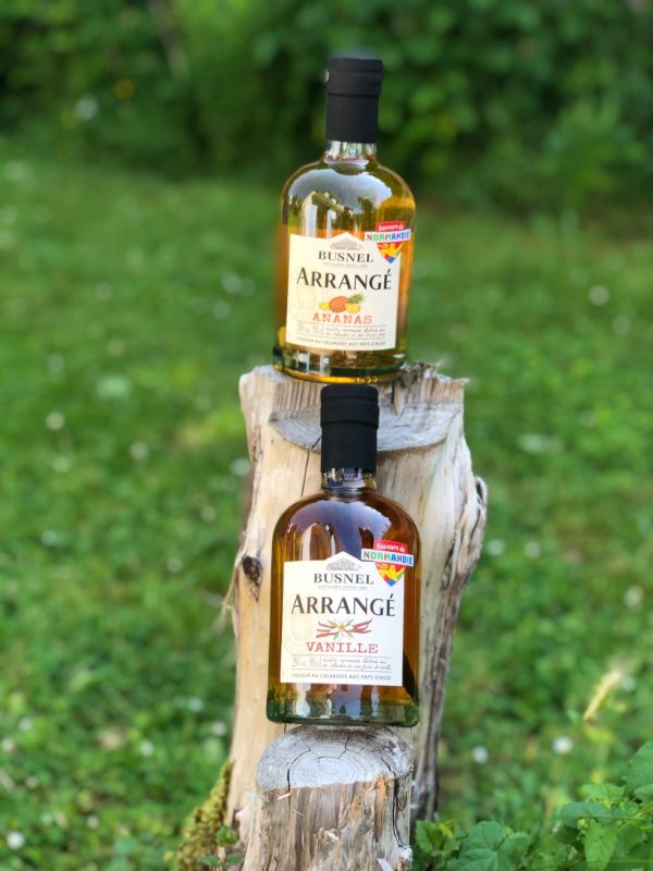 Calvados AOC Arrangé Busnel - Vins Rouges Harmonieux pour Chaque Occasion