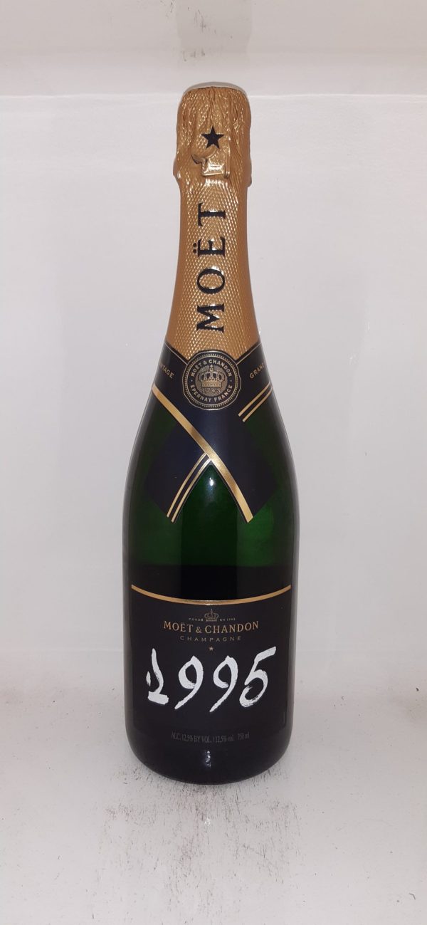 Champagne MOET & CHANDON Grand Vintage Collection 1995 - Vins Rouges Harmonieux pour Chaque Occasion