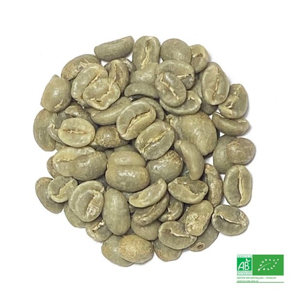 Café vert Colombie – Tolima – Fabrica BIO - Vins Rouges Harmonieux pour Chaque Occasion