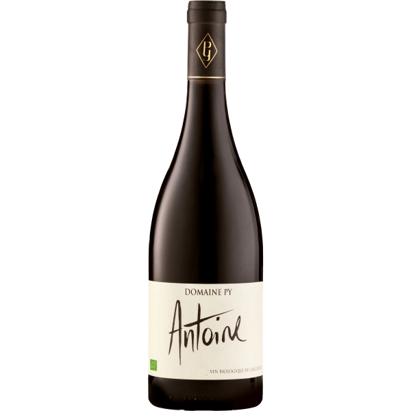 Antoine - Vins Rouges Harmonieux pour Chaque Occasion