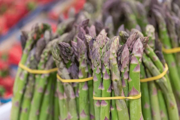 ASPERGE VERTE BOTTE 1KG - Vins Rouges Harmonieux pour Chaque Occasion