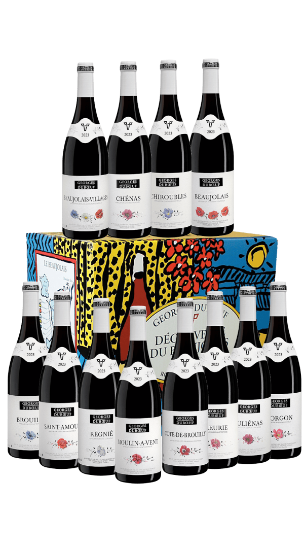 Carton Découverte 12 Btes 2023 Sélection Georges Duboeuf – FRANCO DE PORT - Vins Rouges Harmonieux pour Chaque Occasion
