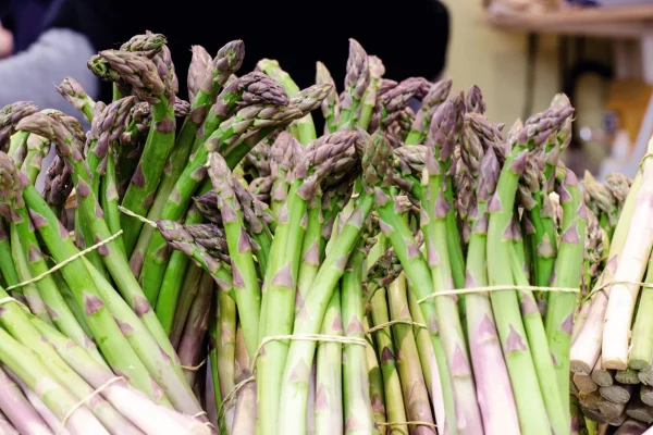 ASPERGE VERTE 500GR - Vins Rouges Harmonieux pour Chaque Occasion