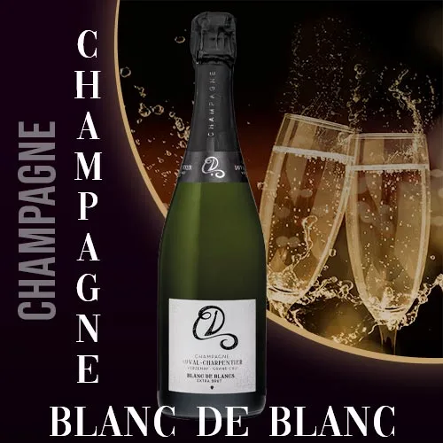Champagne Blanc de Blancs – Duval Charpentier - Vins Rouges Harmonieux pour Chaque Occasion