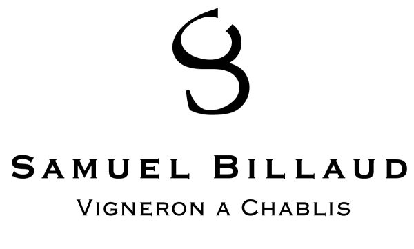 Chablis Grand Cru « Les Blanchots » 2016 - Vins Rouges Harmonieux pour Chaque Occasion