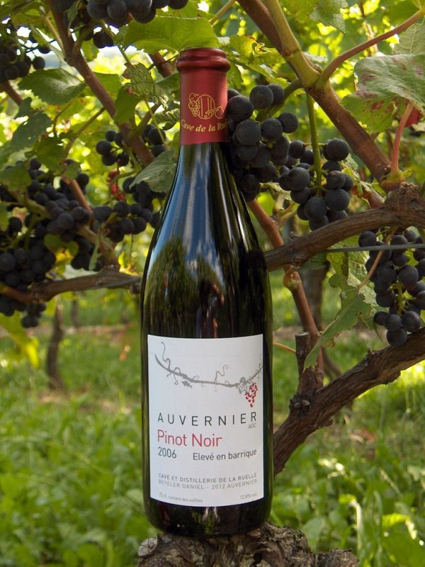 Auvernier | Pinot Noir «élevé en barrique» - Vins Rouges Harmonieux pour Chaque Occasion