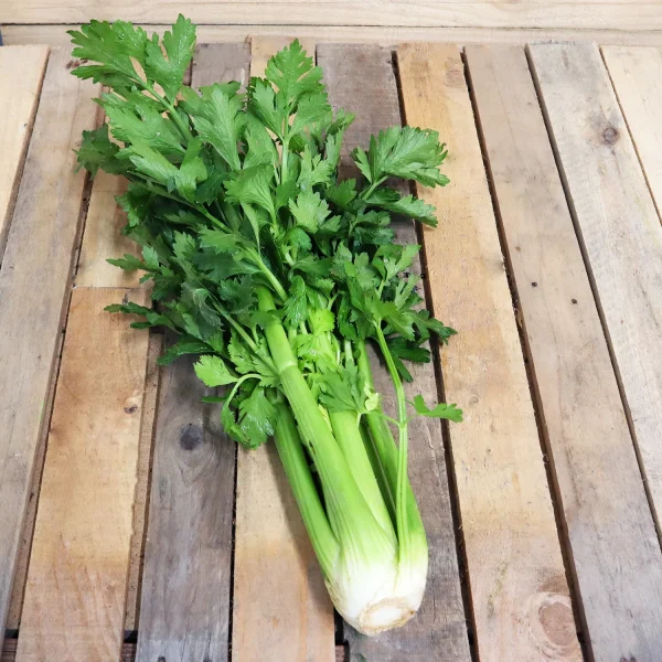 Céleri Branche - Vins Rouges Harmonieux pour Chaque Occasion
