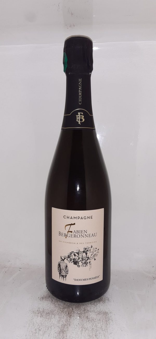Champagne Fabien BERGERONNEAU Dans Mes Pensées Brut Nature - Vins Rouges Harmonieux pour Chaque Occasion