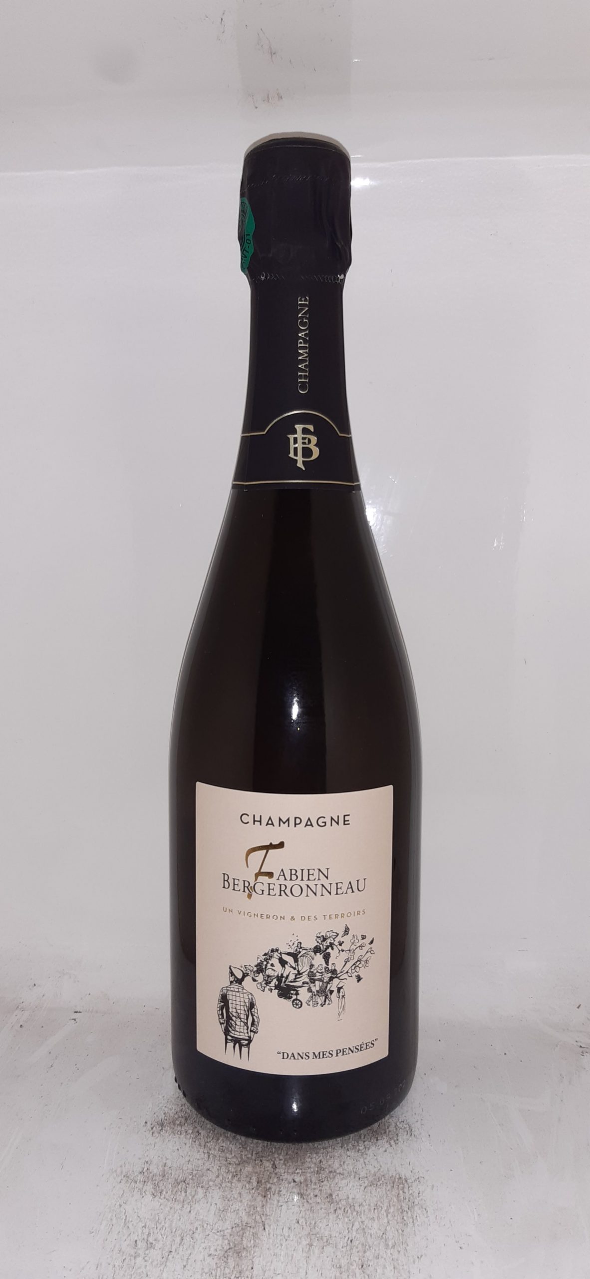 Champagne Fabien BERGERONNEAU Dans Mes Pensées Brut Nature - Vins Rouges Harmonieux pour Chaque Occasion Champagne Fabien BERGERONNEAU Dans Mes Pensées Brut Nature - Vins Rouges Harmonieux pour Chaque Occasion