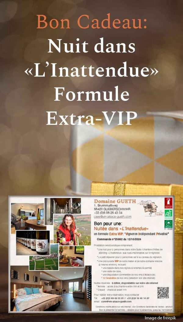 Bon cadeau : Une nuit dans la suite premium « L’Inattendue » pour 2 personnes en formule Extra-VIP - Vins Rouges Harmonieux pour Chaque Occasion