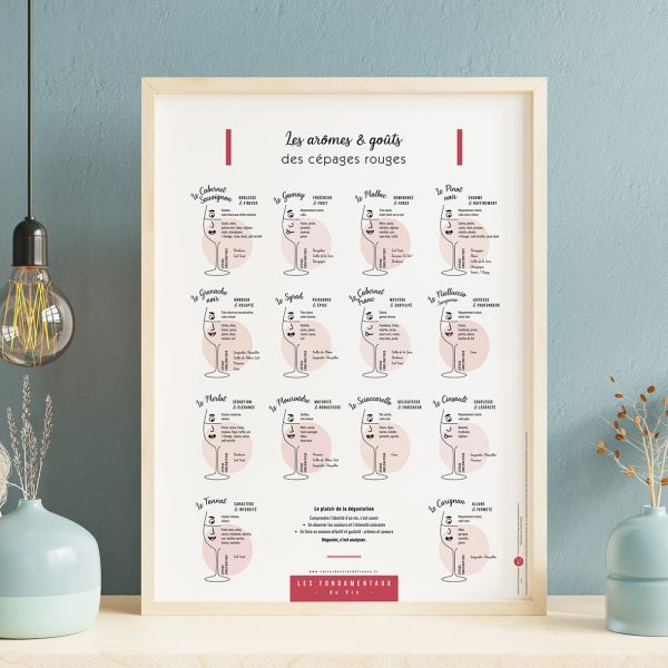 Arômes et Goûts des Cépages Rouges 30×40 - Vins Rouges Harmonieux pour Chaque Occasion