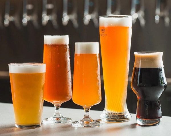Beginner level in Beer Online – LTE Certification - Vins Rouges Harmonieux pour Chaque Occasion