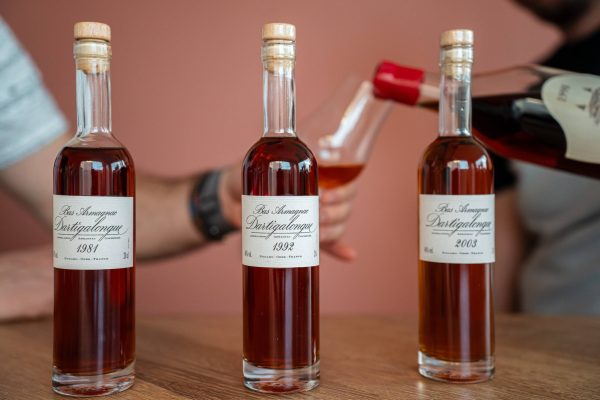 Atelier d&rsquo;Octobre/ Armagnac - Vins Rouges Harmonieux pour Chaque Occasion