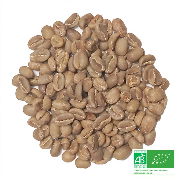 Café vert Ethiopie – Gedeo – (Moka) Yirgacheffe Chelbessa - Vins Rouges Harmonieux pour Chaque Occasion