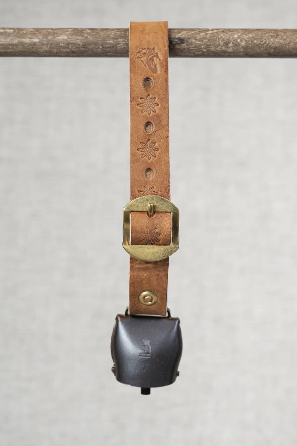 Chamonix n°1 avec collier cuir - Vins Rouges Harmonieux pour Chaque Occasion