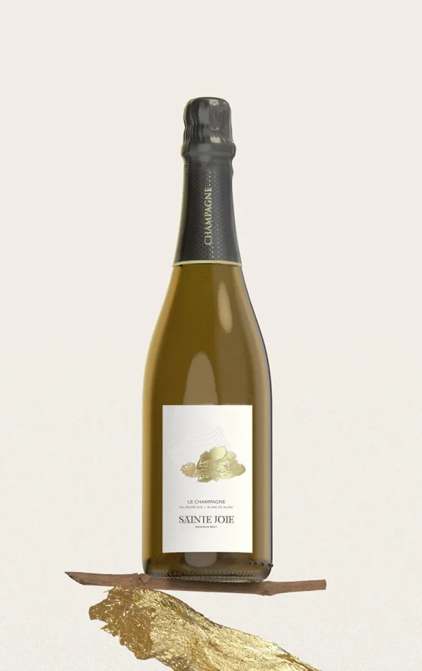 CHAMPAGNE Premier Cru Blanc de Blancs Millésimé 2018 - Vins Rouges Harmonieux pour Chaque Occasion