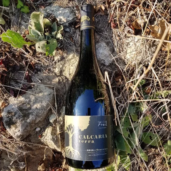 Calcaria Terra 2017 – Domaine de Touraine - Vins Rouges Harmonieux pour Chaque Occasion