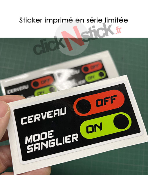 Cerveau OFF Mode Sanglier ON - Vins Rouges Harmonieux pour Chaque Occasion Cerveau OFF Mode Sanglier ON - Vins Rouges Harmonieux pour Chaque Occasion