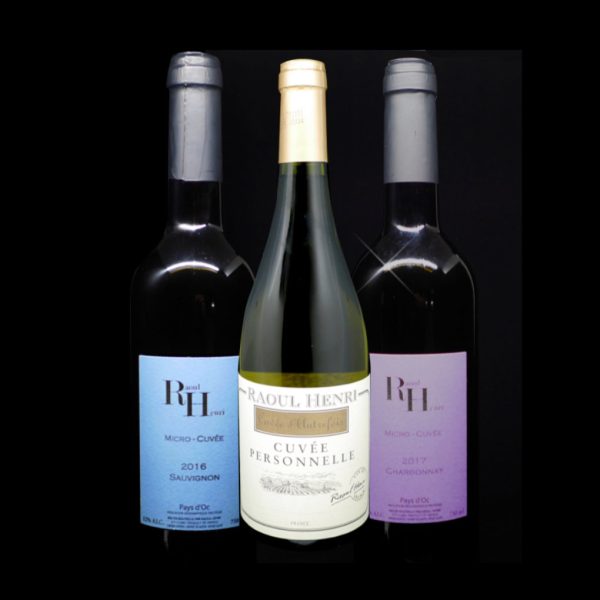 Assortiment Blanc - Vins Rouges Harmonieux pour Chaque Occasion