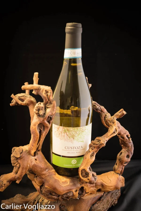 Bianco di Custoza BIO (75cl – 12,5%) - Vins Rouges Harmonieux pour Chaque Occasion